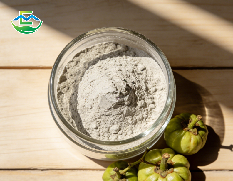 Garcinia Cambogia Extract